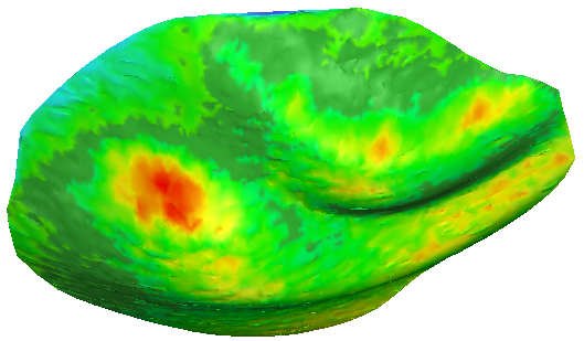 images/download/attachments/113546395/SectionOnInspectedMesh_ColorMeasure.png