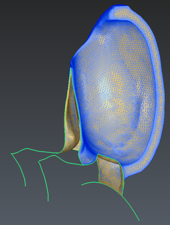 images/download/attachments/226230957/FinalMesh.PNG