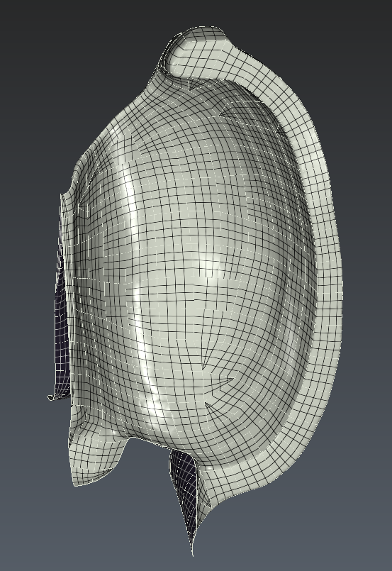images/download/attachments/226230998/Final_Surface.PNG